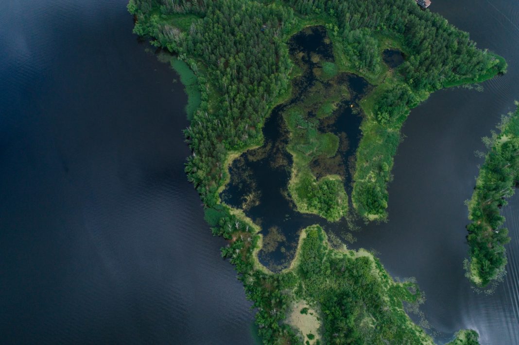 Scientists Are Creating New Atlas Of The Ocean's Oxygen-depleted Zones