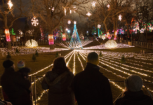 10 free things to do in Chicago this month